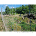 Clôture de clôture de la ferme Galvanisé à trempage à chaud